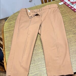LOFT Tan Chinos